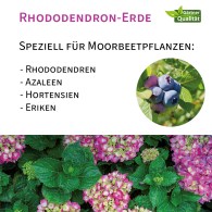 Rhododendron Erde 45L