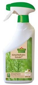Schachtelhalm-Extrakt 